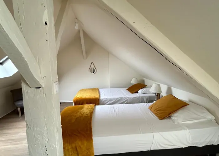 Le Duplex Ou L'appart D'agnes