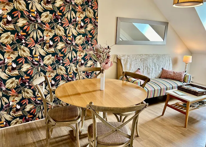 Le Duplex Ou L'appart D'agnes