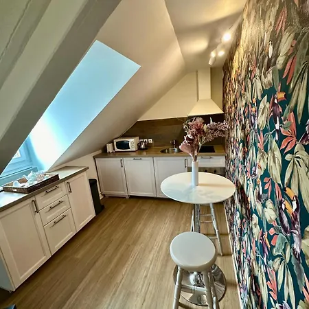 Le Duplex Ou L'appart D'agnes