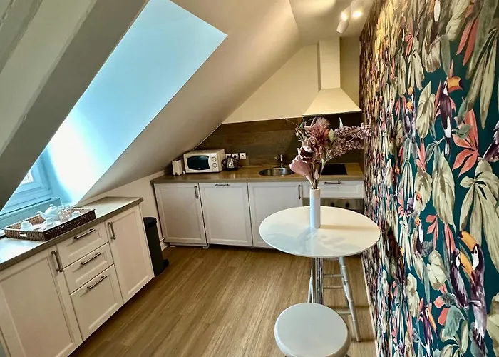 Le Duplex Ou L'appart D'agnes